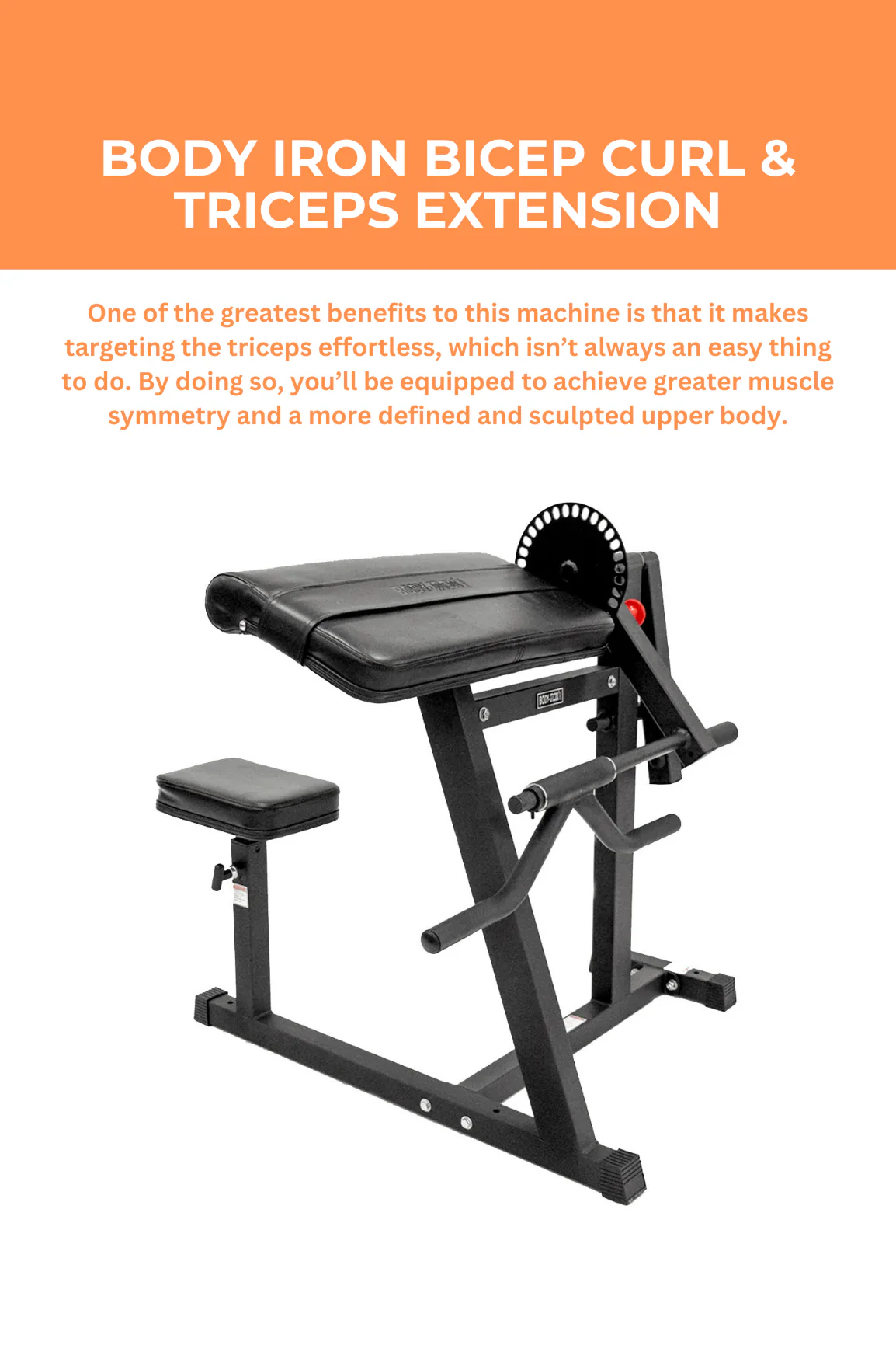 BodyIron® Bicep Curl & Triceps Extension - Image 2