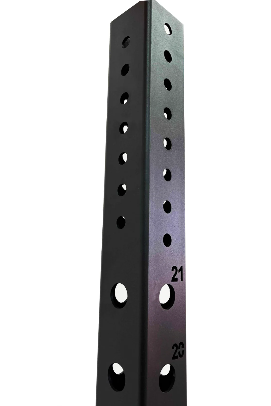 BodyIron® Commercial Rig Single Cell - Image 8